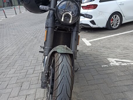 2024 Benelli Leoncino 500, зелёный, 495000 рублей, вид 5