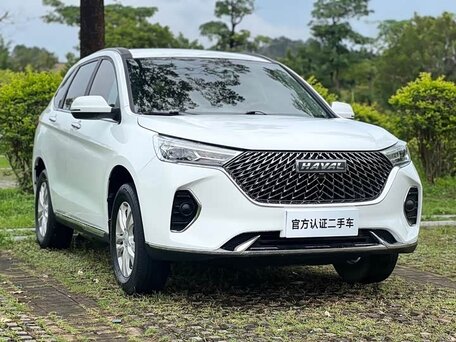 2021 Haval M6 Plus II, белый, 1250000 рублей, вид 3