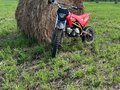 2025 Promax Fidet Pro, красный, 70000 рублей - вид 1