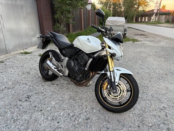 2008 Honda CB 600F Hornet, белый, 600000 рублей - вид 4