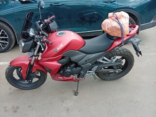 Sym Wolf T2