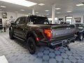 2025 Ford F-150 Raptor XIV Рестайлинг, зелёный, 15530000 рублей - вид 3