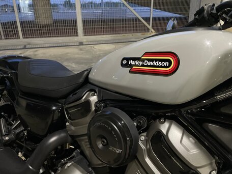 2024 Harley-Davidson Nightster, серый, 1100000 рублей, вид 4