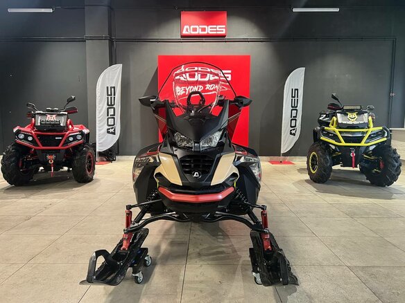 2025 AODES (Odes) Snowcross 1000, красный, 1195000 рублей - вид 14