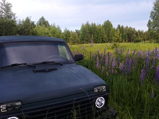 2013 Lada (ВАЗ) 2131 (4x4) I, зелёный, 530000 рублей, вид 2