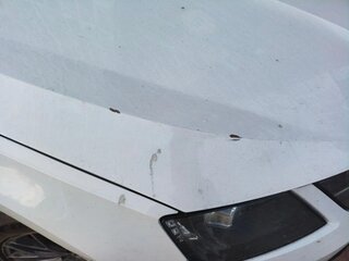 2019 Skoda Octavia III (A7) Рестайлинг, белый, 1350000 рублей, вид 4