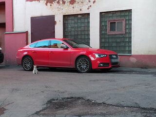 2014 Audi S5 I (8T) Рестайлинг, красный, 1980000 рублей, вид 5