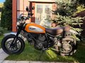 2016 Ducati Scrambler 800, жёлтый, 569000 рублей