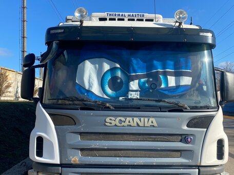 2009 Scania P-series, белый, 3100000 рублей, вид 1