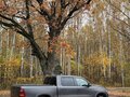 2019 Ram 1500 Crew Cab V, серый, 5700000 рублей - вид 1