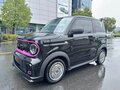 2024 Geely Panda Mini I, чёрный, 791000 рублей