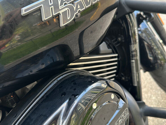 2020 Harley-Davidson Street 750, чёрный, 600000 рублей - вид 5