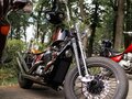 1995 Honda Shadow 600, пурпурный, 424524 рублей