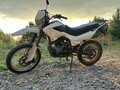 2020 Racer Panther, зелёный, 60000 рублей