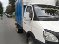 2007 ГАЗ ГАЗель (3302), белый - вид 4