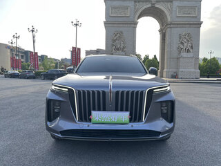 2021 Hongqi E-HS9 120 kWh, серый, 5500000 рублей, вид 2