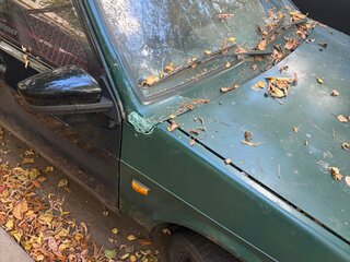 1999 Lada (ВАЗ) 21099, зелёный, 80000 рублей, вид 3