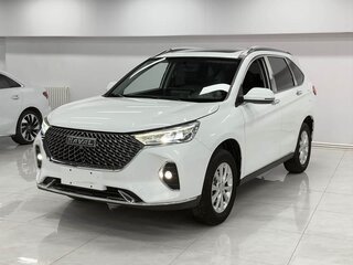 2023 Haval M6 Plus II, белый, 1300000 рублей, вид 1