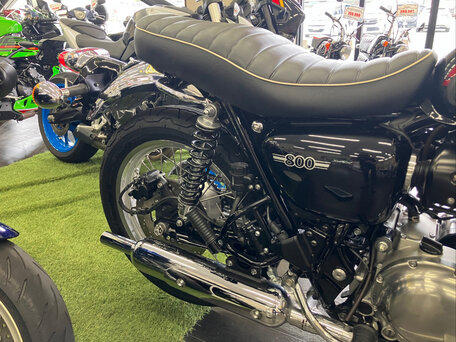 2024 Kawasaki W 800, красный, 800000 рублей, вид 4