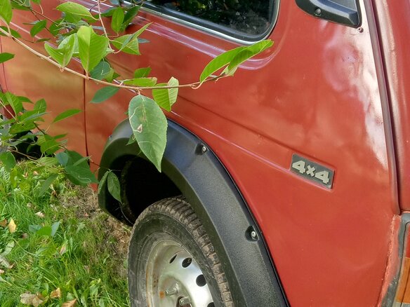 2003 Lada (ВАЗ) 2121 (4x4) I Рестайлинг, пурпурный, 240000 рублей - вид 9