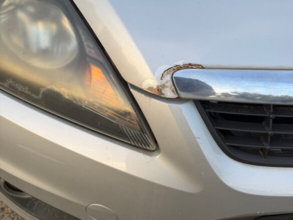 2010 Ford Focus II Рестайлинг, серебристый, 710000 рублей - вид 5