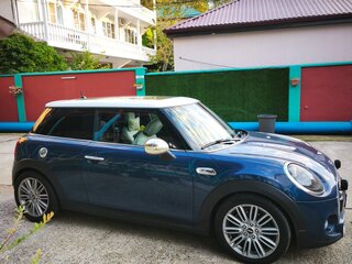 2017 Mini Hatch Cooper S III (F55/F56), синий, 1750000 рублей, вид 5