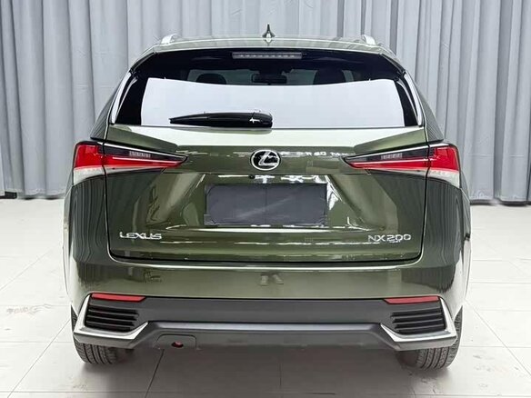 2021 Lexus NX 200 I Рестайлинг, зелёный, 3290023 рублей - вид 3