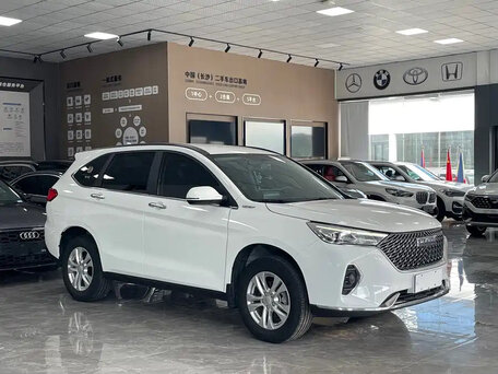 2023 Haval M6 II, белый, 1250000 рублей, вид 4