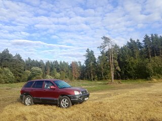 2002 Hyundai Santa Fe I, фиолетовый, 250000 рублей, вид 4