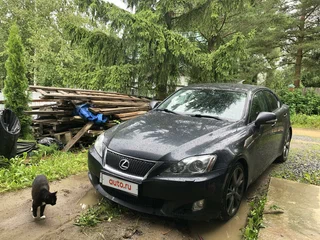 2009 Lexus IS 250 II Рестайлинг, серый, 1700000 рублей, вид 1