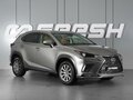 2019 Lexus NX 300 I Рестайлинг, серый, 2919000 рублей