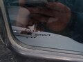 2025 ГАЗ ГАЗель Next, белый, 2880000 рублей - вид 5