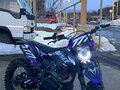 2025 Darex Alga 300, фиолетовый, 115000 рублей