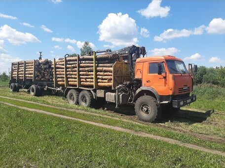 2013 КамАЗ 43118, оранжевый, 2500000 рублей, вид 2