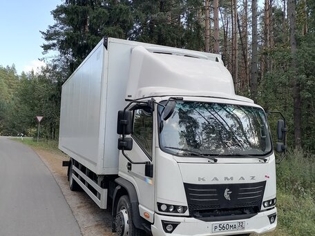 2023 КамАЗ 43082 Компас-12, белый, 4100000 рублей, вид 3