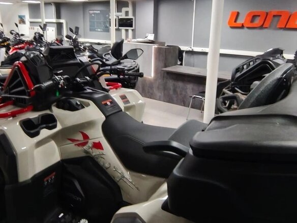 2026 Loncin XWolf 1000 Mud, бежевый, 1469000 рублей - вид 6