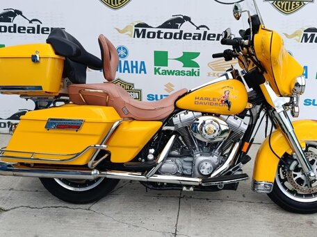 2004 Harley-Davidson Electra Glide, жёлтый, 520000 рублей, вид 2