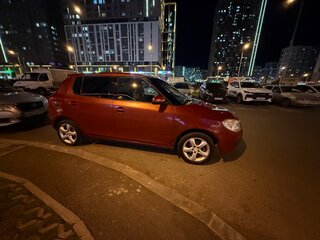 2008 Skoda Fabia II, красный, 240000 рублей, вид 4