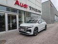2025 Audi Q4 e-tron 40 I, серый, 4260000 рублей