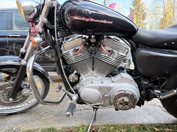 2005 Harley-Davidson Sportster 883, чёрный, 590000 рублей - вид 7