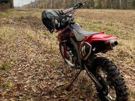 2005 Honda CRF 450X, красный, 405000 рублей, вид 2
