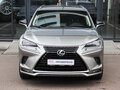 2020 Lexus NX 200 I Рестайлинг, серый, 4050000 рублей - вид 1
