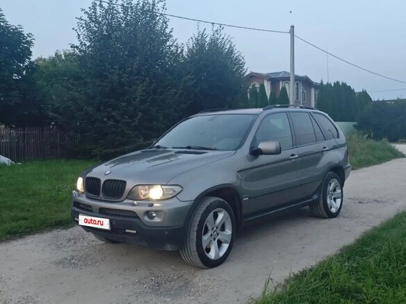 2005 BMW X5 3.0d I (E53) Рестайлинг, серый
