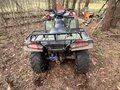 2007 Stels ATV-300, зелёный, 260000 рублей - вид 3
