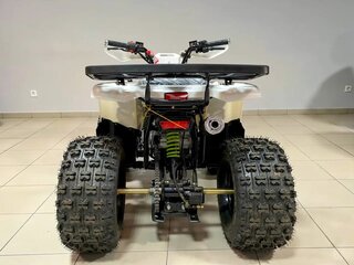 2026 Motoland ATV 150 Wild, чёрный, 137700 рублей, вид 4