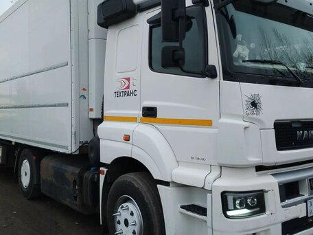 2019 КамАЗ 5490, белый, 1600000 рублей, вид 3