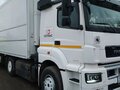 2019 КамАЗ 5490, белый, 1600000 рублей - вид 2