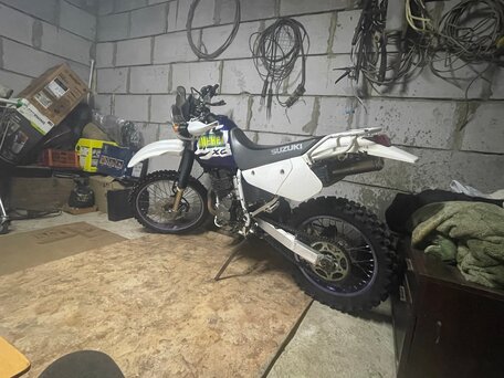 2001 Suzuki Djebel 250, белый, 270000 рублей, вид 1
