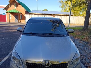 2014 Skoda Fabia II Рестайлинг, серебристый, 410000 рублей, вид 1