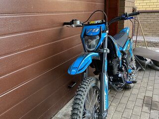 2025 Motoland XR300, синий, 150000 рублей, вид 2